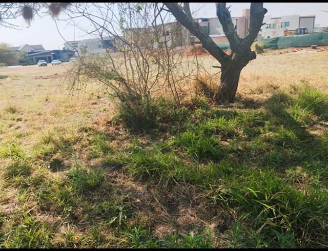 LAND FOR SALE IN THE ALOES LIFESTYLE ESTATE
